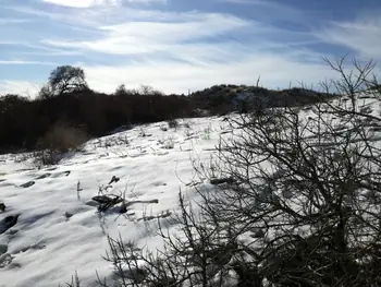 De Panne in de sneeuw (België)